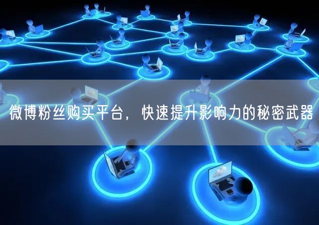 微博粉丝购买平台，快速提升影响力的秘密武器
