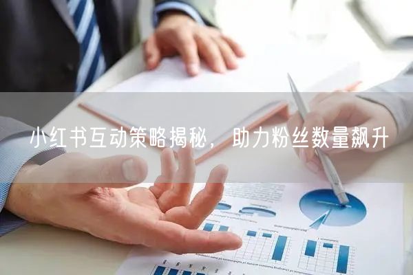 小红书互动策略揭秘，助力粉丝数量飙升