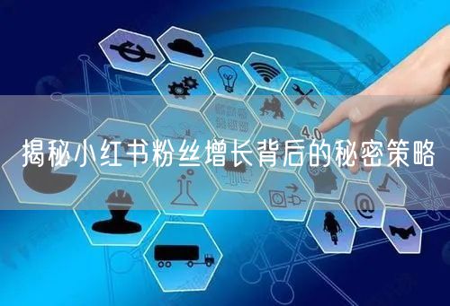 揭秘小红书粉丝增长背后的秘密策略
