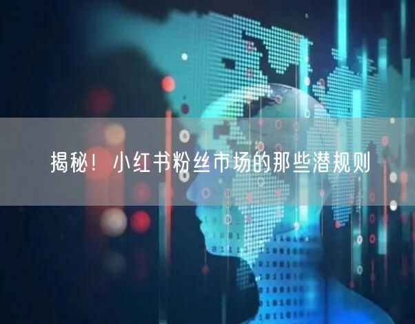 揭秘！小红书粉丝市场的那些潜规则