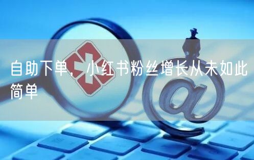 自助下单，小红书粉丝增长从未如此简单