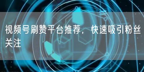 视频号刷赞平台推荐，快速吸引粉丝关注
