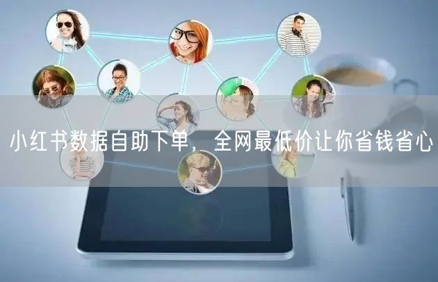 小红书数据自助下单，全网最低价让你省钱省心